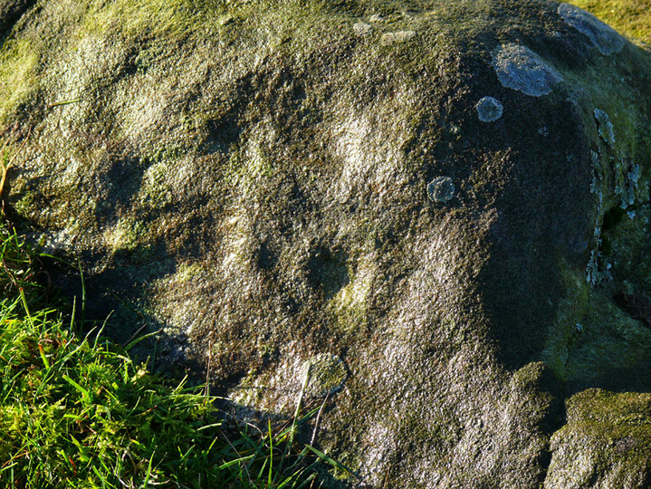 Gillalees 4 (Cup and Ring Marks / Rock Art) by rockartwolf