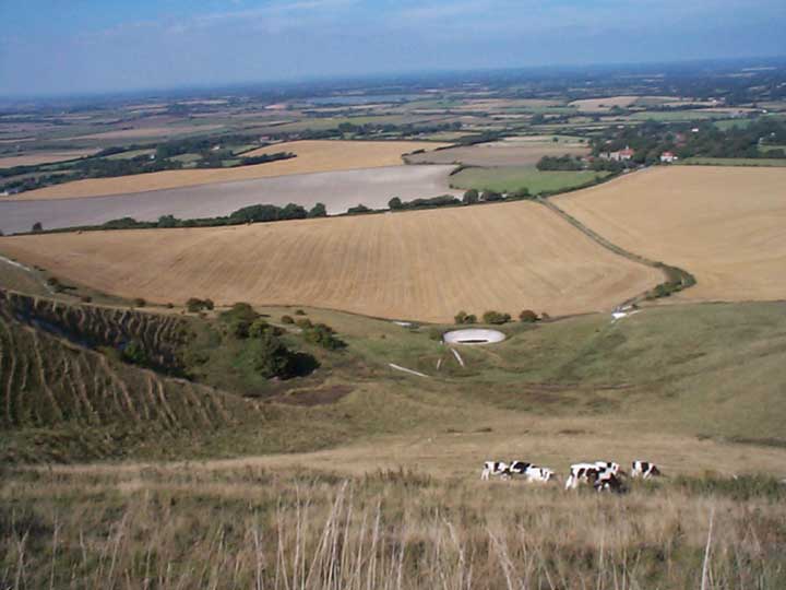 The Long Man of Wilmington (Hill Figure) by kgd