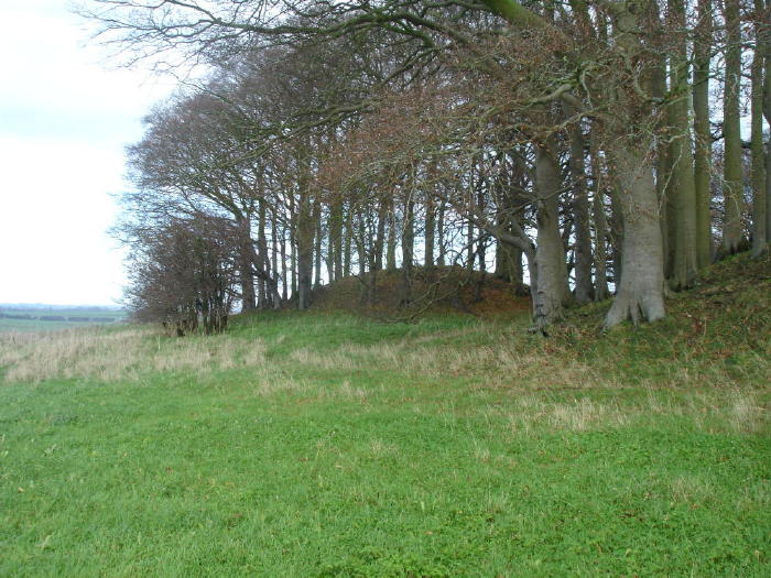 Overton Hill (Barrow / Cairn Cemetery) by moss