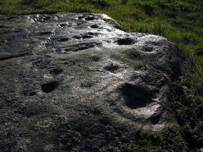 Snook Bank (Cup and Ring Marks / Rock Art) by rockandy