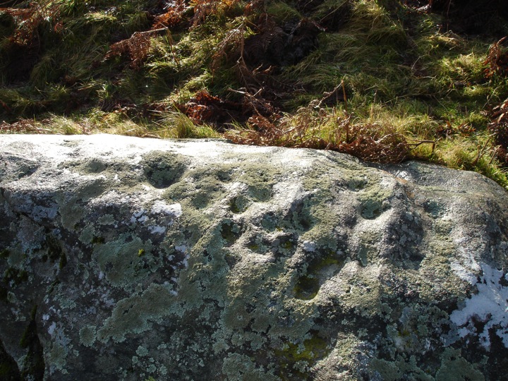Braes of Foss (Cup Marked Stone) by BigSweetie