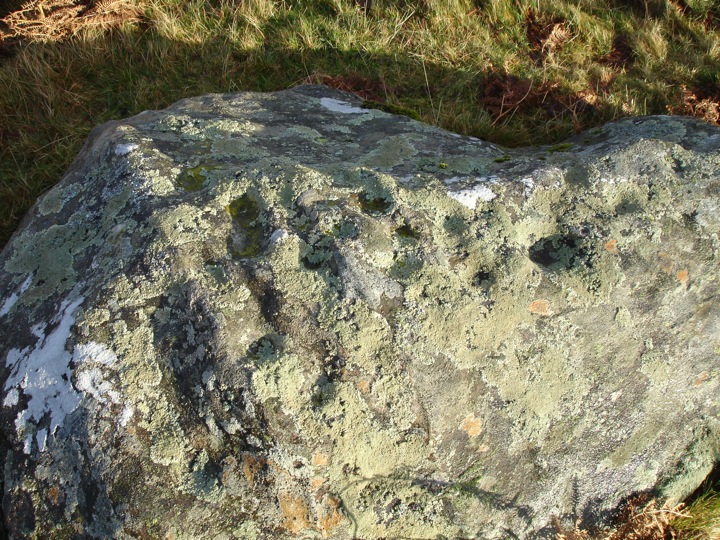 Braes of Foss (Cup Marked Stone) by BigSweetie