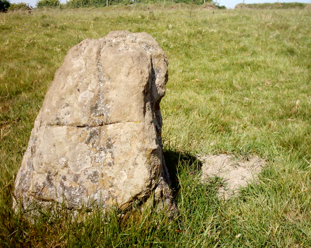 Paracombe Lane (Standing Stone / Menhir) by starrybob