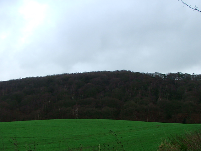 Woodhouse Hill (Hillfort) by postman