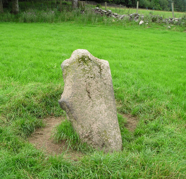 Beltany (Stone Circle) by tiompan