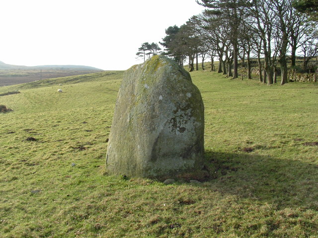 Maen Crwn (Standing Stone / Menhir) by danieljackson