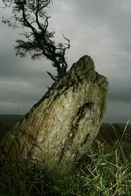 Ettrick Bay (Stone Circle) by Hob