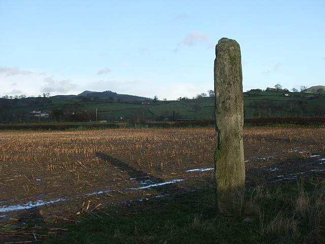 Maes Mochnant (Standing Stones) by postman