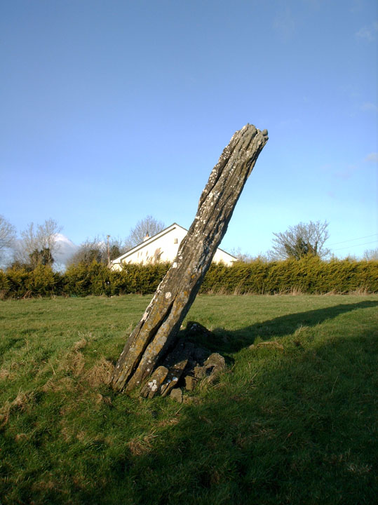 Greenville or Garryduff (Standing Stone / Menhir) by Alan Lee