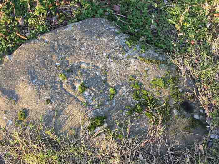 Ashover (Cup and Ring Marks / Rock Art) by stubob
