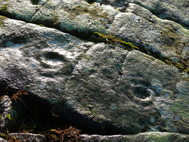 Galtway 5 (Cup and Ring Marks / Rock Art) by rockartwolf