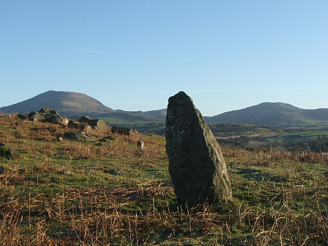 Bryniau'r Tyddyn (Standing Stone / Menhir) by postman