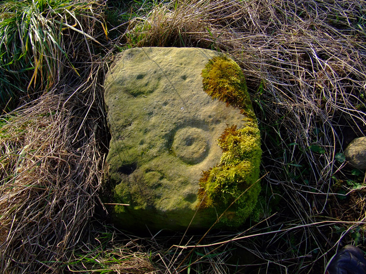 Thornborough Portable (Cup and Ring Marks / Rock Art) by akas555