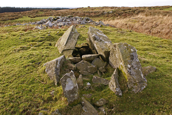 Drannandow (Chambered Tomb) by rockartwolf