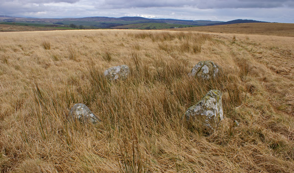 Glentirrow (Stone Circle) by rockartwolf