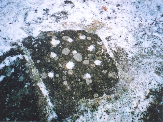 Corstorphine Hill (Cup Marked Stone) by Martin
