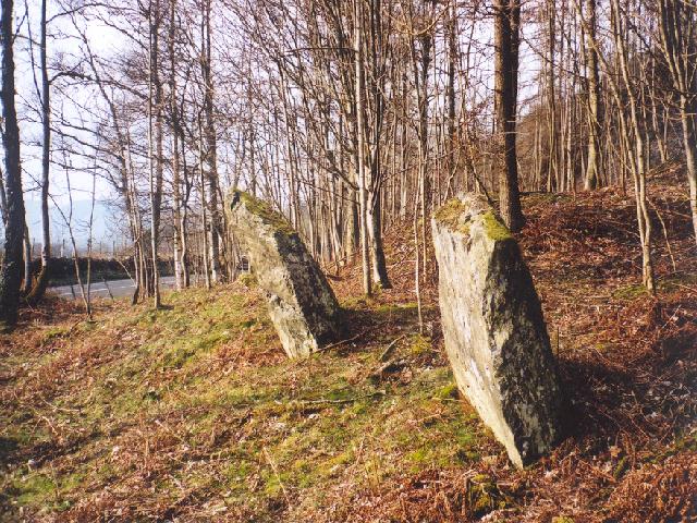 Newtyle Two Poster (Standing Stones) by Martin