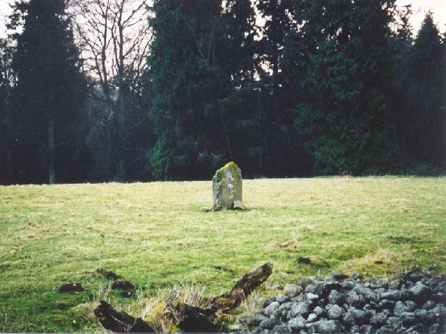 Dunkeld Park Stone (Standing Stone / Menhir) by Martin