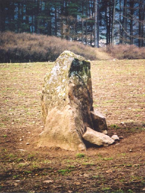 Balnabroich Stone (Standing Stone / Menhir) by Martin