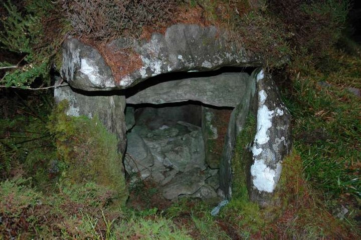 Burren (SW) (Wedge Tomb) by ryaner