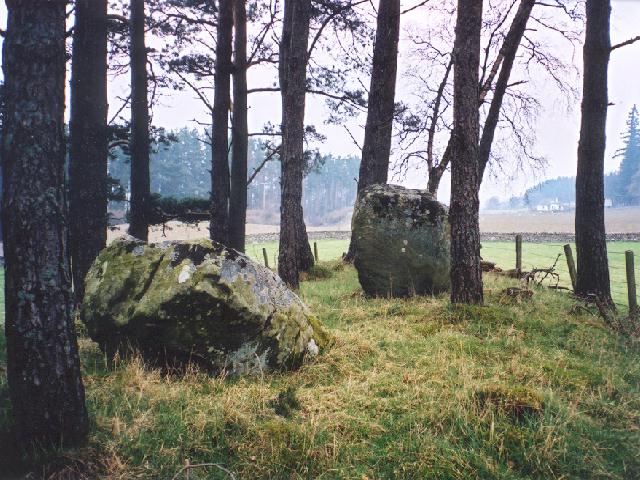 Balnabroich Two Poster (Standing Stones) by Martin