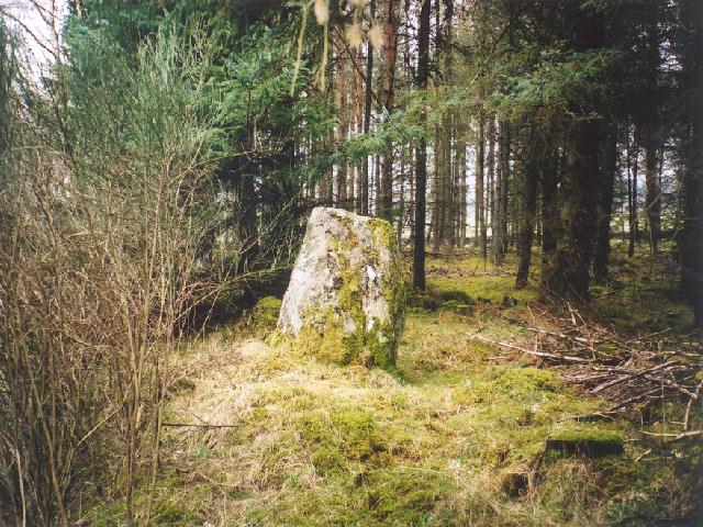 Wester Enochdhu (Standing Stone / Menhir) by Martin