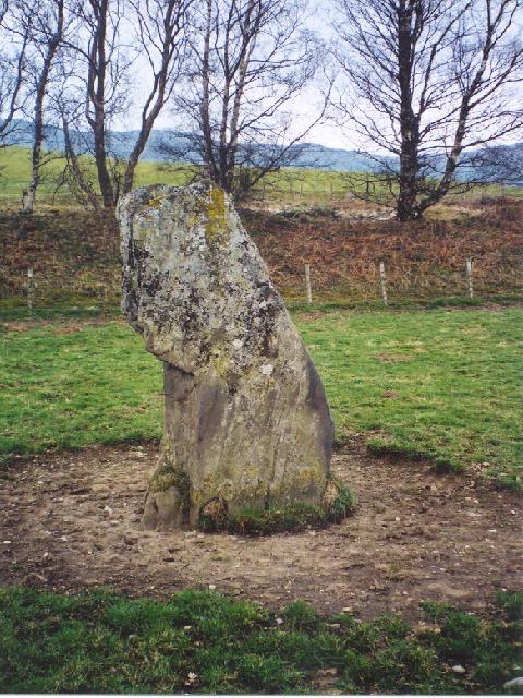 Straloch Stone (Standing Stone / Menhir) by Martin