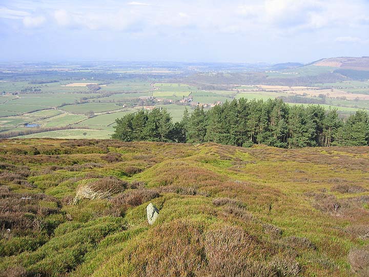 Battersby Moor Cross-Ridge Boundary (Dyke) by fitzcoraldo