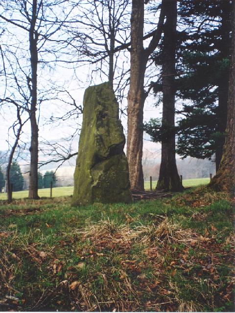 Balnakeilly Stone (Standing Stone / Menhir) by Martin