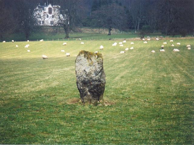 Dane's Stone (Standing Stone / Menhir) by Martin