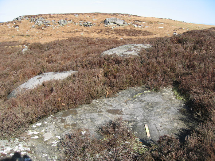 Hunterheugh 8 and 9 (Cup Marked Stone) by rockandy