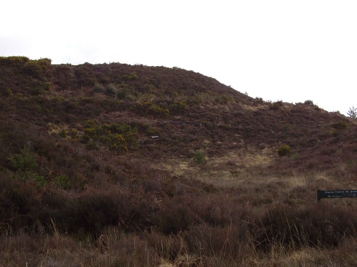 Woolsbarrow (Hillfort) by formicaant