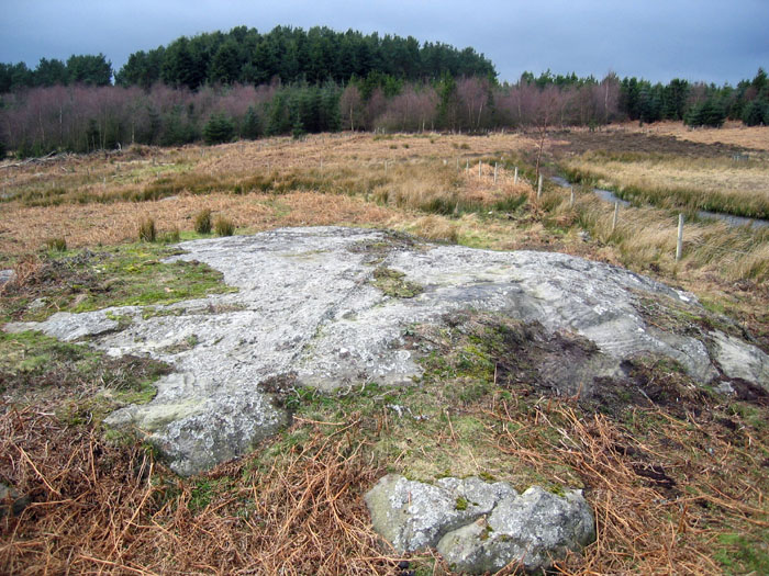 Titlington Mount (Cup and Ring Marks / Rock Art) by rockandy