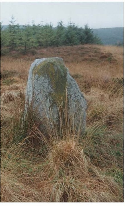 The Tinlee Stone (Standing Stone / Menhir) by Hair Bear
