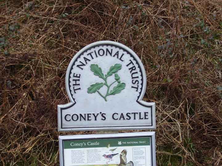 Coney's Castle (Hillfort) by formicaant