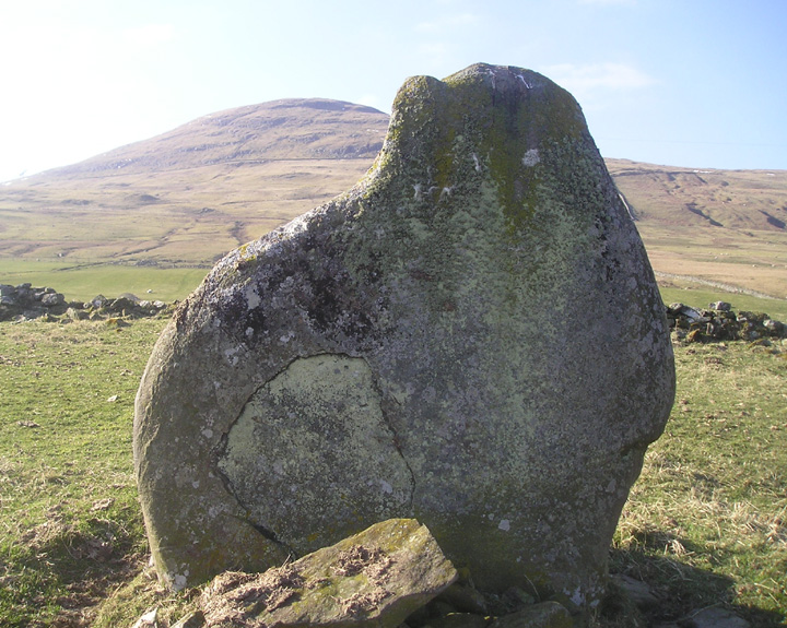 Easter Croftintygan Farm (Standing Stone / Menhir) by tiompan