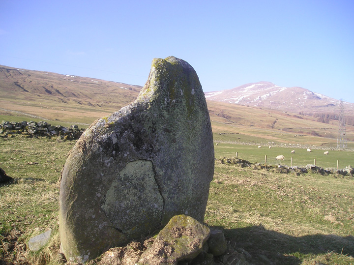 Easter Croftintygan Farm (Standing Stone / Menhir) by tiompan