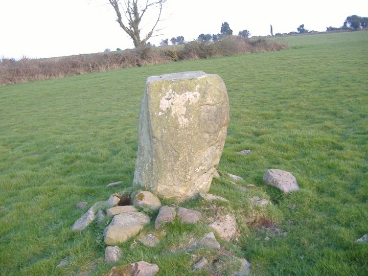 Rathaneague (Standing Stone / Menhir) by bawn79