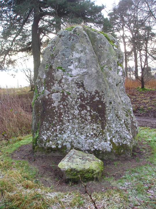 Kirriemuir Hill (Standing Stone / Menhir) by tiompan