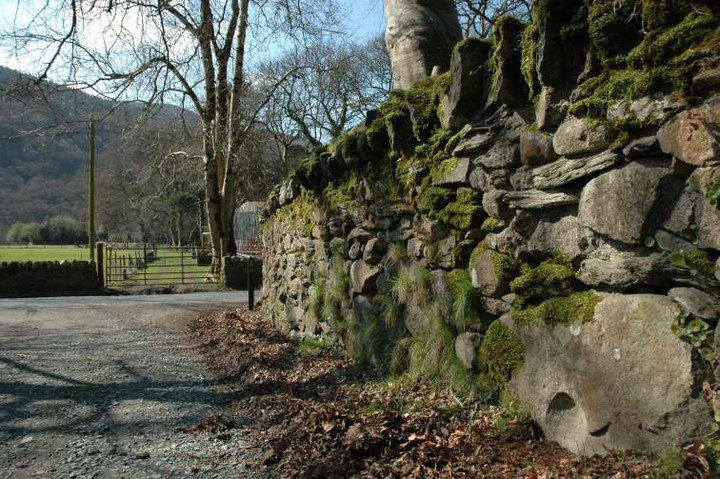 Glendalough Cottage (Bullaun Stone) by ryaner