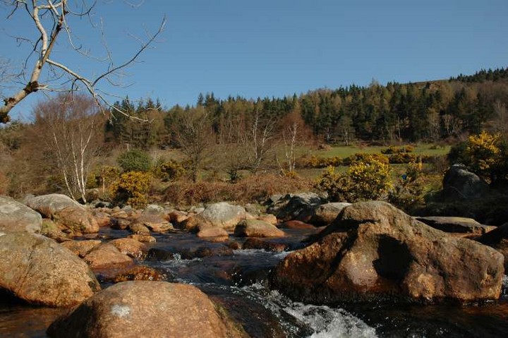 Glendasan River (Bullaun Stone) by ryaner