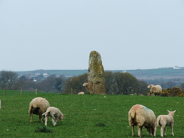 Coed Creigiau-Cathod (Standing Stone / Menhir) by postman
