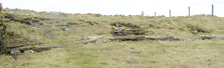 Tomb of the Eagles (Chambered Cairn) by wideford