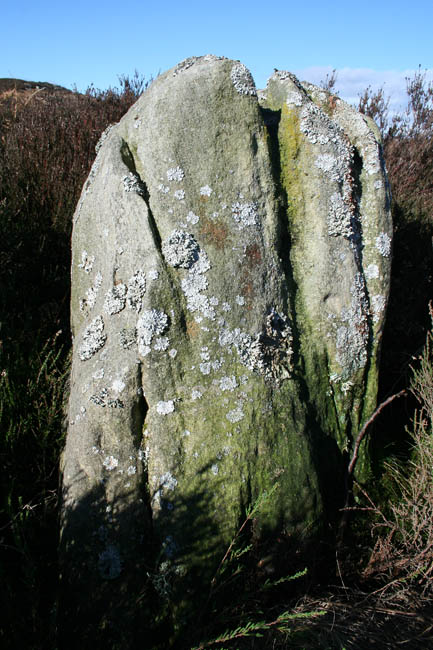 Hunterheugh East (Standing Stone / Menhir) by Hob