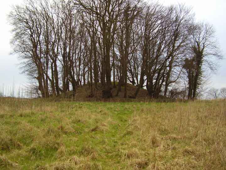 Culliford Tree Barrow (Long Barrow) by formicaant
