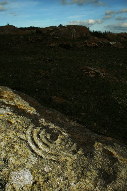 West Shaftoe (Cup and Ring Marks / Rock Art) by Hob