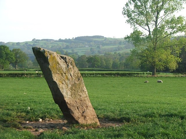 Maen Hir (Boughrood) (Standing Stone / Menhir) by postman