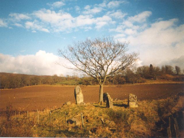 Lundin Farm (Stone Circle) by Martin