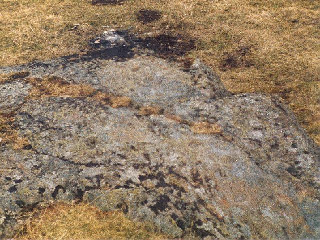 Tullochroisk (Cup and Ring Marks / Rock Art) by Martin