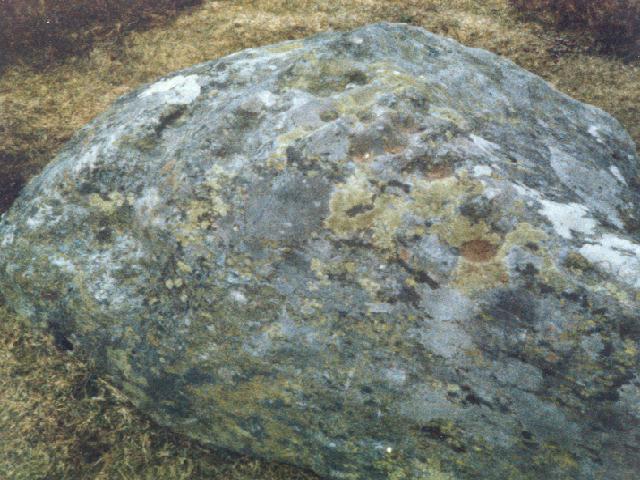 Braes of Foss (Cup Marked Stone) by Martin